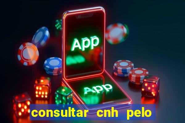 consultar cnh pelo cpf sp